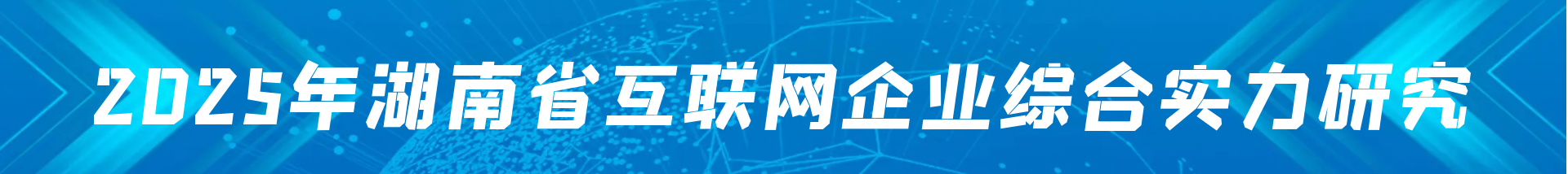 2025年湖南省互联网企业综合实力研究