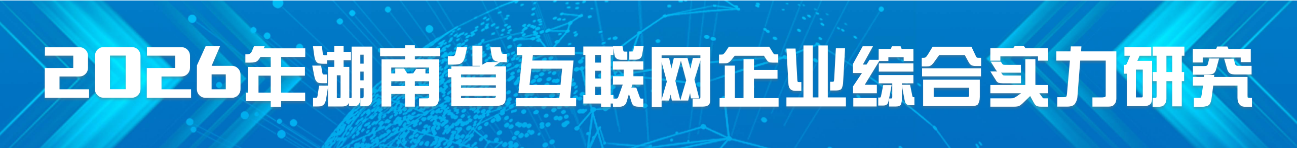 2025年湖南省互联网企业综合实力研究